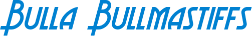 Bulla Bullmastiffs